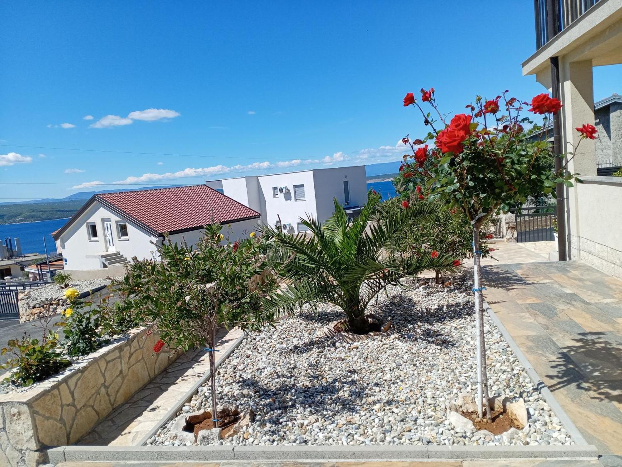 Apartmani Suzana تْسْغيكفانِتْسا المظهر الخارجي الصورة